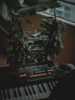 Image post by @abeltone on Instagram