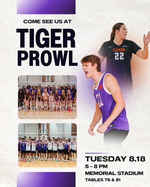 Image post by @clemsonmvb on Instagram