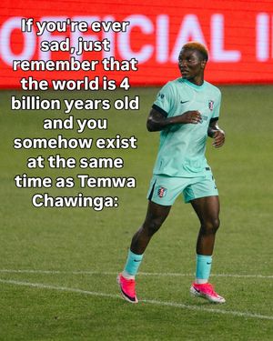 Image post by @ionnwsl on Instagram