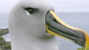 Video post by @bbcearth on YouTube