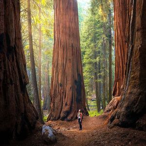 Image post by @nationalparkscollective on Instagram
