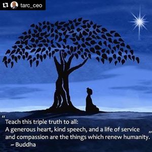 Image post by @ridetarc on Instagram