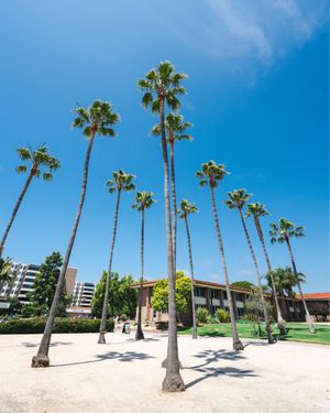 Image post by @ucsantabarbara on Instagram