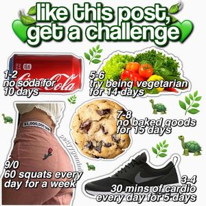 Image post by @scftcorgi on Instagram