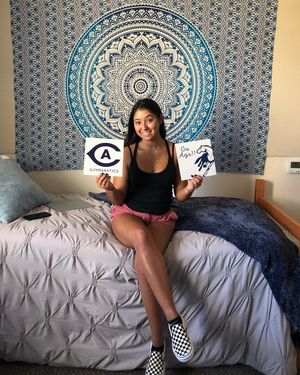 Image post by @ucdavisgym on Instagram