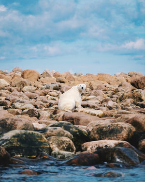 Image post by @kirstenalana on Instagram