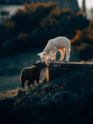 Image post by @lightroom on Instagram
