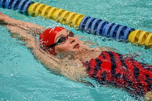 Image post by @spiderswimdive on Instagram