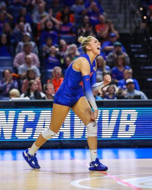 Image post by @GatorsVB on Twitter