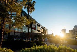 Image post by @chasefield on Instagram