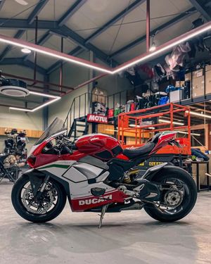 Image post by @panigalers on Instagram