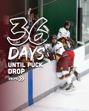 Image post by @txst_hockey on Instagram
