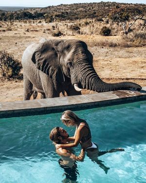 Image post by @honeymoons_viagens on Instagram