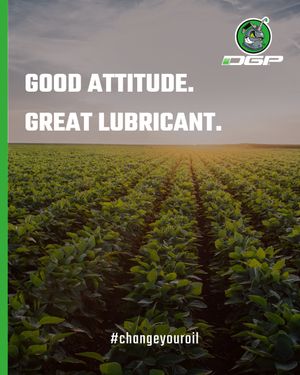 Image post by @dgpworks on Instagram