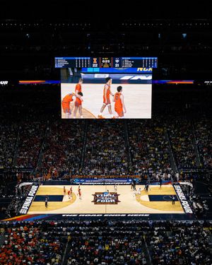 Image post by @mushlik on Instagram