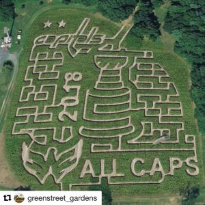 Image post by @capitals on Instagram