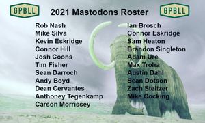 Image post by @mo_mastodons on Instagram