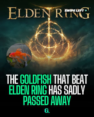 Image post by @gaming on Instagram