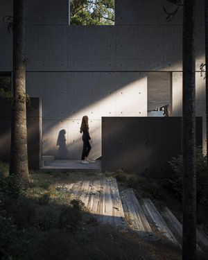 Image post by @javs.hivisuals on Instagram