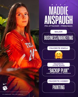 Image post by @clemsonvb on Instagram