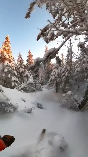 Video post by @j_skis on Instagram