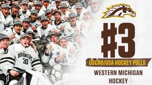 Image post by @wmu_hockey on Instagram