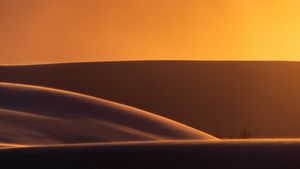 Image post by @chandlerwebercreative on Instagram