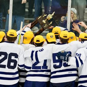Image post by @pennstateharrisburghockey on Instagram