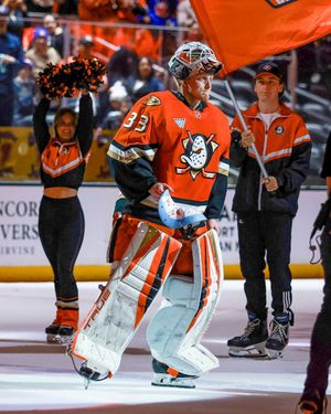 Image post by @AnaheimDucks on Twitter