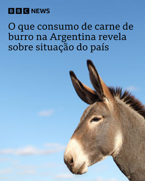 Image post by @bbcbrasil on Instagram
