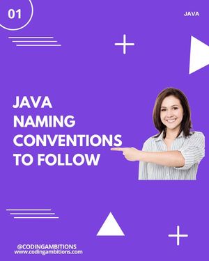 Image post by @codingambitions on Instagram