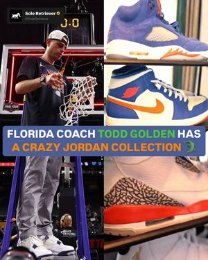 Image post by @soleretriever on Instagram