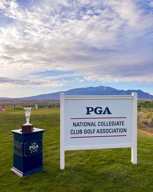 Image post by @nccga on Instagram