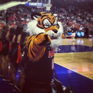 Image post by @pacifictigers on Instagram