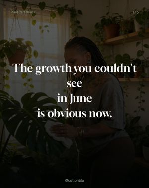 Image post by @cottonblu on Instagram