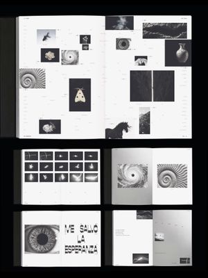 Image post by @digital_archive on Instagram