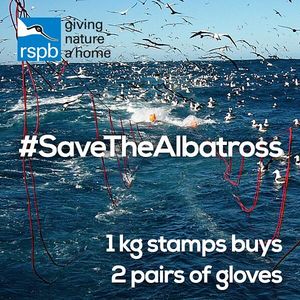 Image post by @rspb on Instagram
