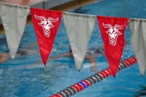 Image post by @wpiswimdive on Instagram