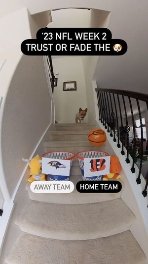 Video post by @aircorg on Instagram