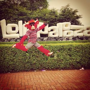 Image post by @bennythebull on Instagram