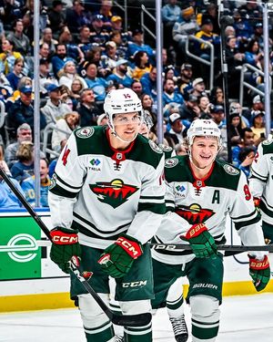 Image post by @minnesotawild on Instagram