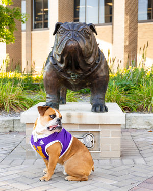 Image post by @westerniluniv on Instagram