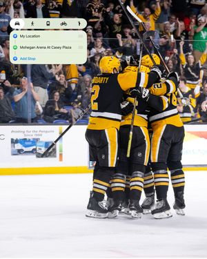 Image post by @wbspenguins on Instagram