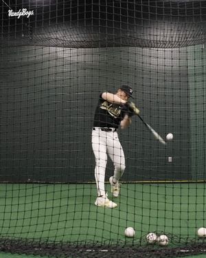 Image post by @vandyboys on Instagram