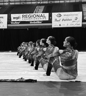 Image post by @wgisportofthearts on Instagram