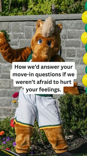Video post by @skidmorecollege on TikTok