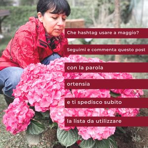 Image post by @isabella_thefashioncherrydiary on Instagram