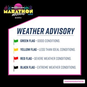Image post by @runDisney on Twitter
