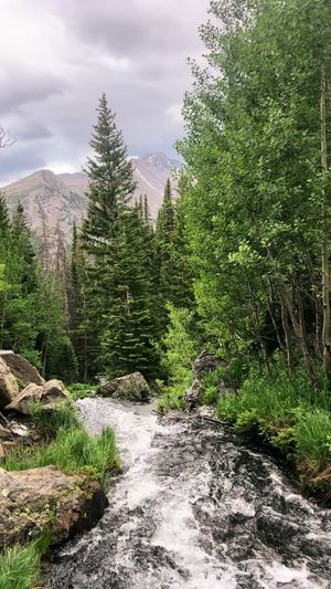 Video post by @filmbychloeg on TikTok