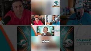 Video post by @dolphinstalk on YouTube